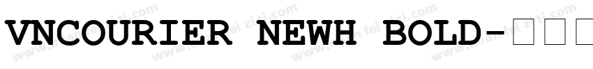 VnCourier NewH Bold字体转换